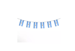 Guirnalda de banderas Argentinas de tela 
10mts